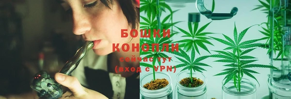 МДПВ Костерёво