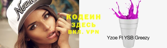дурь Корсаков