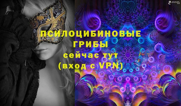 дурь Корсаков
