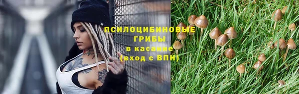 дурь Корсаков