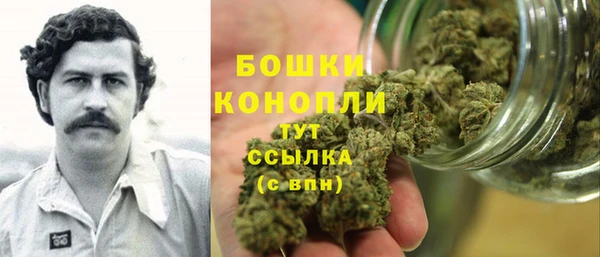 МДПВ Костерёво