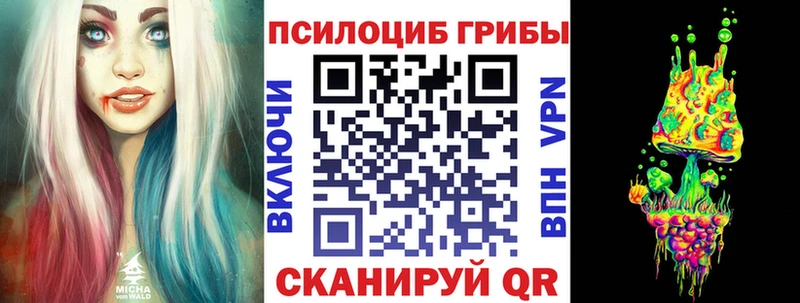 Купить где Калининград Галлюциногенные грибы MAGIC MUSHROOMS